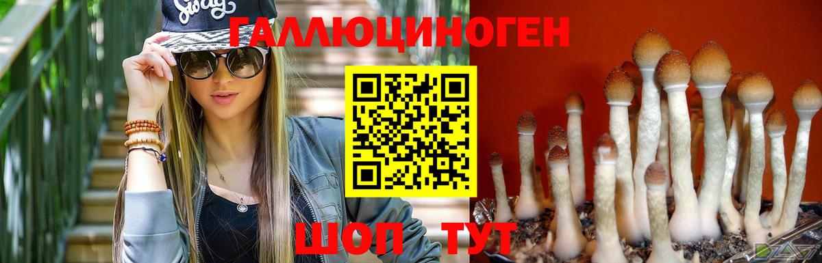 хочу   Вход с VPN  Дмитров  Псилоцибиновые грибы ЛСД 